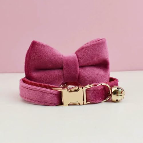 MEIFULLE Katzenbedarf Samt Katzenhalsband Personalisiertes Halsband mit Namensschild Glöckchen Fliege Individuell gravierte Halsbänder für von MEIFULLE