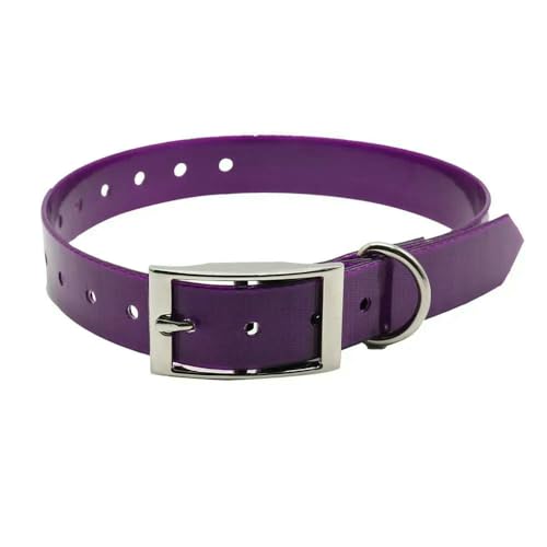 MEIFULLE Petshop Hundehalsband TPU+Nylon Deodorant Schmutzabweisend Leicht zu reinigende Halsbänder 7 Farben für kleine und große Hundezubehör von MEIFULLE