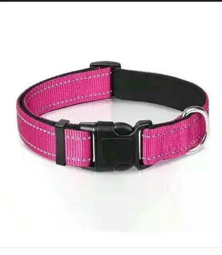 MEIFULLE Preisgünstiges Haustierhalsband aus PU-Leder – verstellbar und weich für kleine Hunde und Welpen von MEIFULLE
