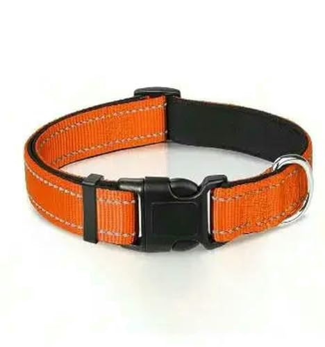 MEIFULLE Preisgünstiges Haustierhalsband aus PU-Leder – verstellbar und weich für kleine Hunde und Welpen von MEIFULLE