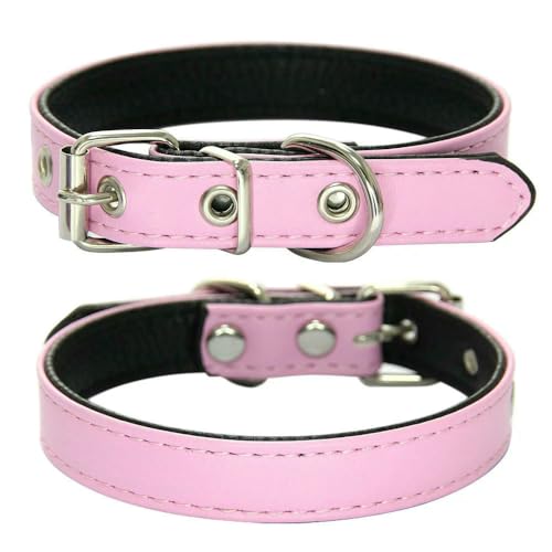 MEIFULLE Strapazierfähiges Haustierhalsband aus PU-Leder, verstellbar, für Hunde und Katzen, für kleine und mittelgroße Hunde, Welpenzubehör, Halsband, Halskette, XS-L von MEIFULLE