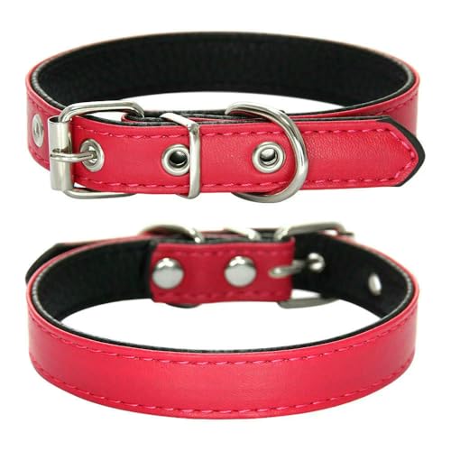 MEIFULLE Strapazierfähiges Haustierhalsband aus PU-Leder, verstellbar, für Hunde und Katzen, für kleine und mittelgroße Hunde, Welpenzubehör, Halsband, Halskette, XS-L von MEIFULLE