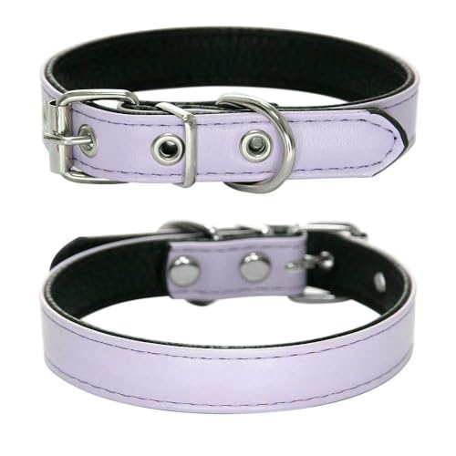 MEIFULLE Strapazierfähiges Haustierhalsband aus PU-Leder, verstellbar, für Hunde und Katzen, für kleine und mittelgroße Hunde, Welpenzubehör, Halsband, Halskette, XS-L von MEIFULLE