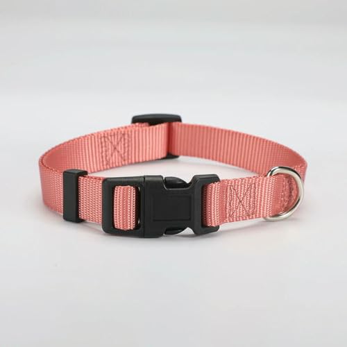 MEIFULLE Verstellbares Hundehalsband aus Nylon, langlebig, einfaches Hundehalsband für kleine und große Hunde, Französische Bulldogge, Sicherheits- und Spaziertraining, Haustierbedarf von MEIFULLE