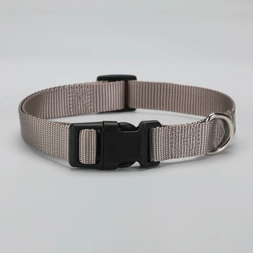 MEIFULLE Verstellbares Hundehalsband aus Nylon, langlebig, einfaches Hundehalsband für kleine und große Hunde, Französische Bulldogge, Sicherheits- und Spaziertraining, Haustierbedarf von MEIFULLE