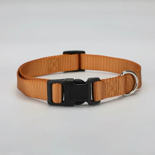 MEIFULLE Verstellbares Hundehalsband aus Nylon, langlebig, einfaches Hundehalsband für kleine und große Hunde, Französische Bulldogge, Sicherheits- und Spaziertraining, Haustierbedarf von MEIFULLE