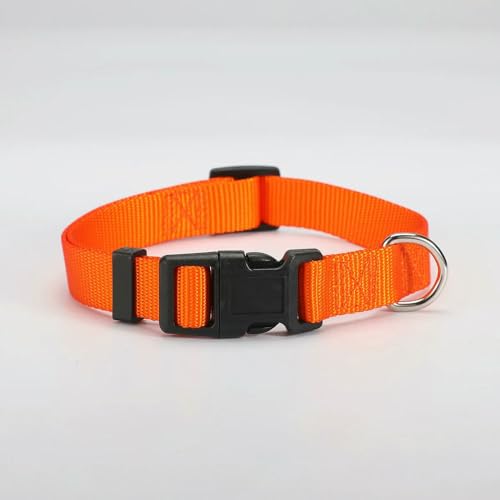 MEIFULLE Verstellbares Hundehalsband aus Nylon, langlebig, einfaches Hundehalsband für kleine und große Hunde, Französische Bulldogge, Sicherheits- und Spaziertraining, Haustierbedarf von MEIFULLE