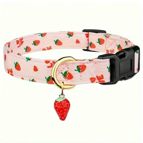 MEIFULLE Verstellbares taktisches Hundehalsband – strapazierfähiges Nylon für mittelgroße und große Hunde von MEIFULLE