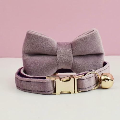 Personalisiertes Katzenhalsband aus Samt mit Glöckchenfliege - Namensschild mit individueller Gravur von MEIFULLE