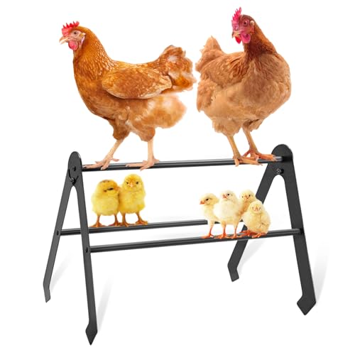 Verstellbare Hühnerstange für Stall – Metall-Huhn-Roosting Bars für Hühner, Küken & Junghenziegel – robustes Brutwurzel-Set (schwarz) – passend für alle Hühnerställe und Bauernhöfe von MEIHAOME
