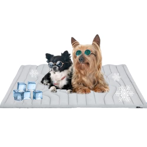 MEIION Mondpfote ChillCare Pro Innovative Kühlmatte für Hunde und Katzen – Haltbare, atmungsaktive Kühlmatte für Haustiere in Allen Größen, ideal für heiße Tage, fördert komfortable Entspannung MEIION Mondpfote ChillCare Pro Innovative Kühlmatte für Hunde und Katzen – Haltbare, atmungsaktive Kühlmatte für Haustiere in Allen Größen, ideal für heiße Tage, fördert komfortable Entspannung von MEIION