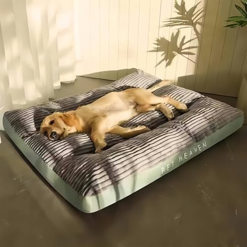 MEIION Mondpfote OrthoCloud Pro Abnehmbare Haustiermatratze für große und kleine Hunde, rutschfest, bietet Komfort und Unterstützung von MEIION