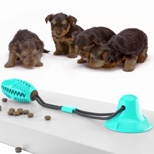 MEIION Saugnapf Hundespielzeug für Zahnpflege und gegen Langeweile | Interaktives und langlebiges Spielzeug für Hunde | Fördert Zahngesundheit und reduziert destruktives Verhalten MEIION Saugnapf Hundespielzeug für Zahnpflege und gegen Langeweile | Interaktives und langlebiges Spielzeug für Hunde | Fördert Zahngesundheit und reduziert destruktives Verhalten von MEIION