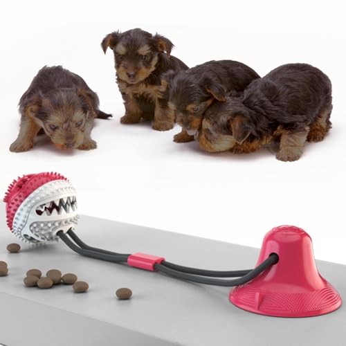 MEIION Saugnapf Hundespielzeug für Zahnpflege und gegen Langeweile | Interaktives und langlebiges Spielzeug für Hunde | Fördert Zahngesundheit und reduziert destruktives Verhalten MEIION Saugnapf Hundespielzeug für Zahnpflege und gegen Langeweile | Interaktives und langlebiges Spielzeug für Hunde | Fördert Zahngesundheit und reduziert destruktives Verhalten von MEIION