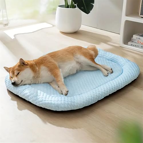 MEIION hundeliebling PetCool kühlendes Hundebett Kühlendes Hundebett Sommerkühlung für drinnen und draußen, im Auto Hundekühlnest MEIION hundeliebling PetCool kühlendes Hundebett Kühlendes Hundebett Sommerkühlung für drinnen und draußen, im Auto Hundekühlnest von MEIION