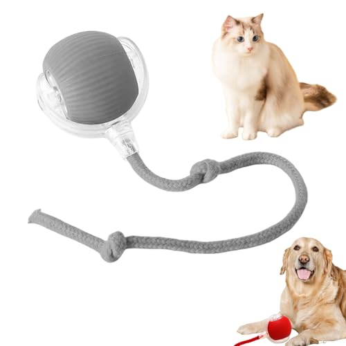 MEIION Magie Ball Interaktives Katzenspielzeug und Hundespielzeug mit Seil – Magic Ball für Katzen und Hunde, langlebig, fördert das Spielen und die Bewegung von MEIION