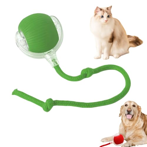 MEIION Magie Ball Interaktives Katzenspielzeug und Hundespielzeug mit Seil – Magic Ball für Katzen und Hunde, langlebig, fördert das Spielen und die Bewegung von MEIION