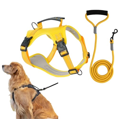 Mein Maison TailMate - Das Bequeme Hundegeschirr für große Hunde, Anti Zug Geschirr, reflektierend, atmungsaktiv, leichtes Brustgeschirr große und mittlere Hunde, bequemes Sicherheitsgeschirr Mein Maison TailMate - Das Bequeme Hundegeschirr für große Hunde, Anti Zug Geschirr, reflektierend, atmungsaktiv, leichtes Brustgeschirr große und mittlere Hunde, bequemes Sicherheitsgeschirr von MEIION