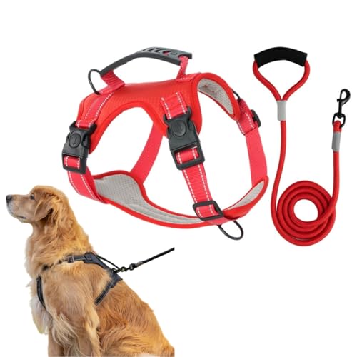Mein Maison TailMate - Das Bequeme Hundegeschirr für große Hunde, Anti Zug Geschirr, reflektierend, atmungsaktiv, leichtes Brustgeschirr große und mittlere Hunde, bequemes Sicherheitsgeschirr Mein Maison TailMate - Das Bequeme Hundegeschirr für große Hunde, Anti Zug Geschirr, reflektierend, atmungsaktiv, leichtes Brustgeschirr große und mittlere Hunde, bequemes Sicherheitsgeschirr von MEIION