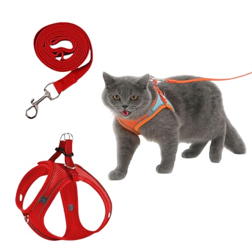 Serenosole CatVenture | Bequemes Anti-Ausbruch-Geschirr für Katzen verstellbares Step-in Hundegeschirr mit reflektierenden Bändern und passender Leine, No-Pull Design, kleine Hunde und Katzen Serenosole CatVenture | Bequemes Anti-Ausbruch-Geschirr für Katzen verstellbares Step-in Hundegeschirr mit reflektierenden Bändern und passender Leine, No-Pull Design, kleine Hunde und Katzen von MEIION