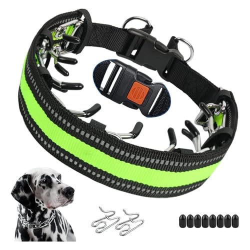 knuddelpfoten Kilian | No-Pull Halsband Explosionssicheres Hundehalsband mit Stimulationskette für effektives Hundetraining von MEIION