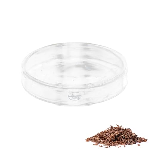 MEISH Aquarium-Garnelen-Futternapf, Fischtank-Futternäpfe, Glas-Futternapf, klare Schale, Fisch-Futterstation für Fische (60 mm) von MEISH