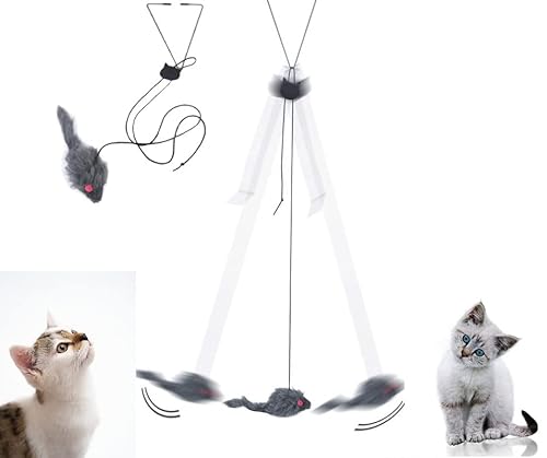 MEISO Katzenspielzeug, 2 Stück Interaktives Katzenspielzeug,Hängendes Katzenspielzeug für Türrahmen,Katzenspielzeug Selbstbeschäftigung Maus Türbehang Hüpfendes Mäusespielzeug Dancer Katzenspielzeug von MEISO