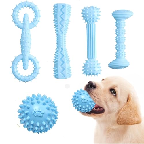 MEISO 5 Stück Kauspielzeug für Hunde, Kauspielzeug, quietschendes Hundespielzeug zur Zahnreinigung, unzerstörbares Hundespielzeug aus Gummi für kleine und mittelgroße Hunde von MEISO