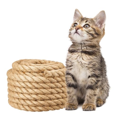 MEIYAXINWIN Natur Sisalseil für Kratzbaum 10mm x 10m, Natur Sisal Seil 10mm Kratzbaum Seil für Kratzbaum Ersatzteile Hanfseil 10mm Juteseil für DIY Garten, Bündelung und Handwerks Dekoration (Braun) MEIYAXINWIN Natur Sisalseil für Kratzbaum 10mm x 10m, Natur Sisal Seil 10mm Kratzbaum Seil für Kratzbaum Ersatzteile Hanfseil 10mm Juteseil für DIY Garten, Bündelung und Handwerks Dekoration (Braun) von MEIYAXINWIN