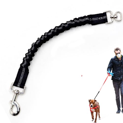 1 x Bungee-Hundeleinenverlängerung, elastisch, stoßdämpfend, langlebig, kurz, stoßdämpfend, Hundeleine für kleine und mittelgroße Hunde, reflektierende Streifen für Spaziergänge, Joggen, Training, 1 x Bungee-Hundeleinenverlängerung, elastisch, stoßdämpfend, langlebig, kurz, stoßdämpfend, Hundeleine für kleine und mittelgroße Hunde, reflektierende Streifen für Spaziergänge, Joggen, Training, von MEKEET
