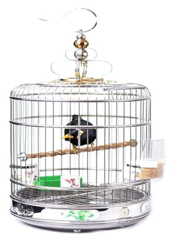Bird Cagesolid Round Hohlkäse kreativer Edelstahl Vogelkäfig Langable Vogelkäfige Schmiedeeisen -Vogelkäfige for kleine Vogeltiere (mittel) von MEMEM