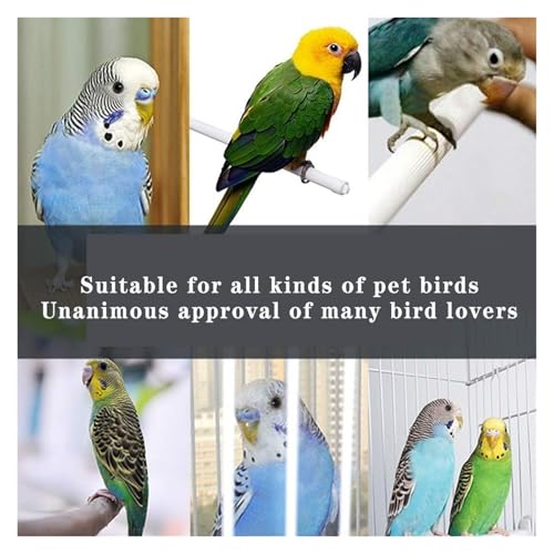 Bird Cagesolid White Decorative Vogelkäfige Eisen -Papagei -Käfig mit transparenter Basisstange Wasserer -Futtermittel (weiß 55 cm) von MEMEM