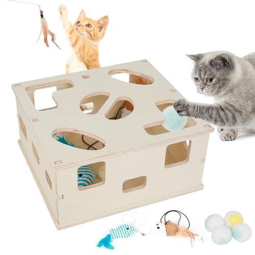 Interaktives Katzenspielzeug,Katzenspielzeug Selbstbeschäftigung Katzenspielzeug Intelligenz Spielzeugbox mit Federn & Interaktiven Bällen - Futterspielzeug Katze Interaktives Spielzeug für Katzen von MENAYODA