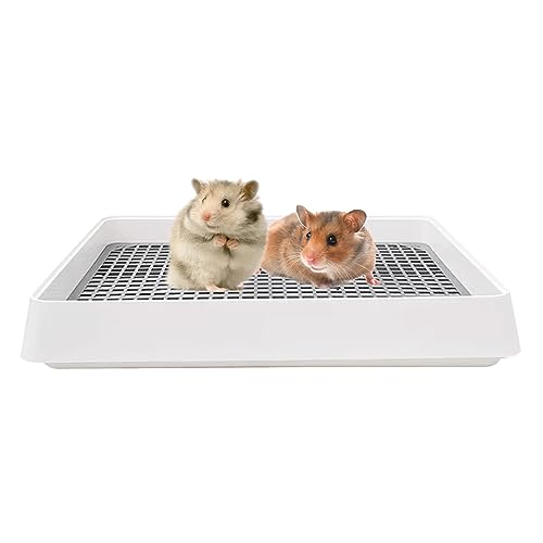 MENAYODA Extra Große Kaninchentoilette, Trainer-Tablett, Häschen-Toiletten-Trainings-Katzentoilette mit Gitter & Toilettenschale für Kaninchen, Meerschweinchen, Ratten, Chinchillas, Lgel, Hamster (S) von MENAYODA