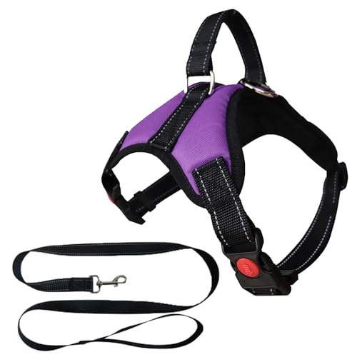 MENGTEQI Professionelles Hundegeschirr für Hunde, bequem und atmungsaktiv, anpassbar für kleine, mittelgroße und große Hunde, geeignet für Spaziergänge, Laufen, Training usw. (Purple, S) von MENGTEQI