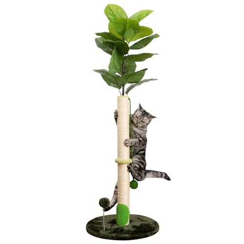 Kratzbaum Katzenkratzbaum 73.7 cm Kratzbäume für Indoor Katzen Erwachsene und Kätzchen, Katzenkratzbaum hoch mit Sisalseil, Niedlicher Katzenbaum Kratzbaum mit hängendem Ball Kratzbaum Katzenkratzbaum 73.7 cm Kratzbäume für Indoor Katzen Erwachsene und Kätzchen, Katzenkratzbaum hoch mit Sisalseil, Niedlicher Katzenbaum Kratzbaum mit hängendem Ball von MEOWSAN