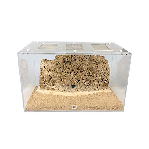 Ameisenburg Acryl transparentes Ameisennest Wurmfütterungssystem Ameisenlebensraum DIY Montage Ameisenhaustierkäfig Kinder Biologische Beobachtung Spielzeug Geschenke (Size : L) von MERAXI