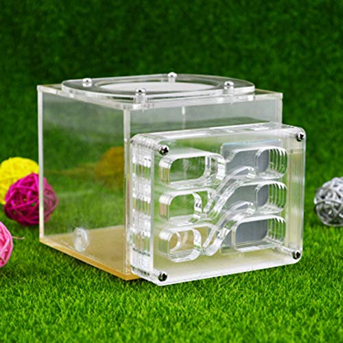 Ant Factory Nest Farm Moisturizing Natural Worm Ecology Box Educational Formicarium Place Where Ants Live Lair for Ant Feeding von MERAXI