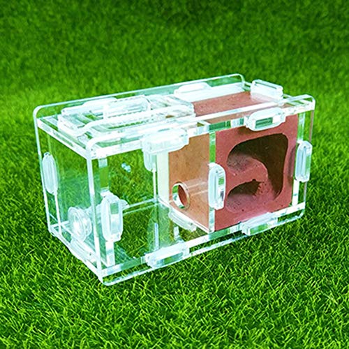 Ant Farm Acryl Transparent Worm Lore Ant Castle/Gips Display Box Educational Formicarium Habitat for Ant Easy to Install (Color : D) von MERAXI