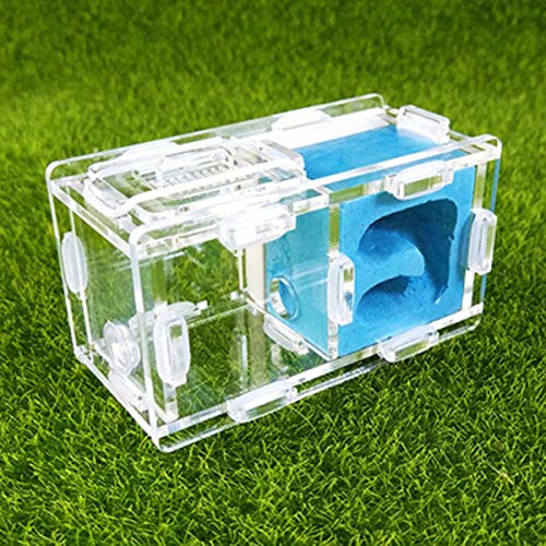 Ant Farm Acryl Transparent Worm Lore Ant Castle/Gips Display Box Educational Formicarium Habitat for Ant Easy to Install (Color : E) von MERAXI