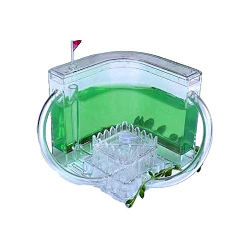 Ant Farm Castle with Tubes Worm Ant Nest Feeding Box Educational Formicarium Habitat for Live Ants Ecosystem Colony Toy with Nutrient Rich Gel (Color : Green) von MERAXI
