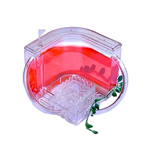 Ant Farm Castle with Tubes Worm Ant Nest Feeding Box Educational Formicarium Habitat for Live Ants Ecosystem Colony Toy with Nutrient Rich Gel (Color : Red) von MERAXI