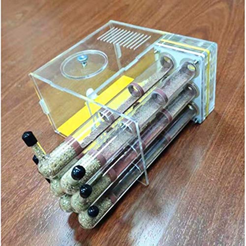 Ant Nest Glass Tube Ant Workshop Worm Cage Villa Tower Acrylic Transparent Display Box Feeding System Habitat Educational and Learning Nature Science (Color : C) von MERAXI
