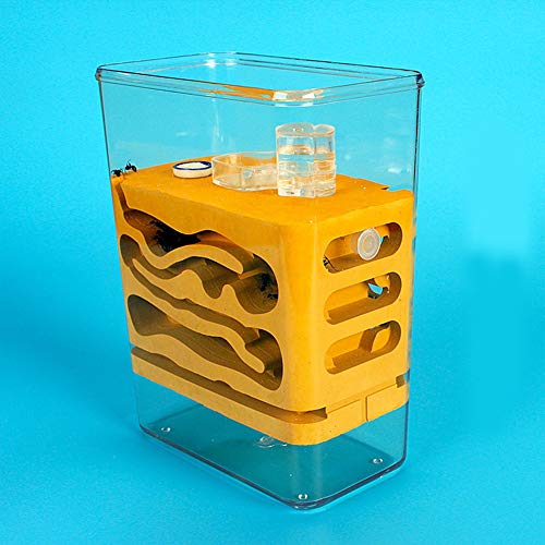 Ant Tower Large Deluxe Ant Nest Ant Farm Gypsum Workshop Manor Pet Kingdom Villa House Formicarium Moisturizing Water Allows Study of Ecosystem (Color : Yellow) von MERAXI