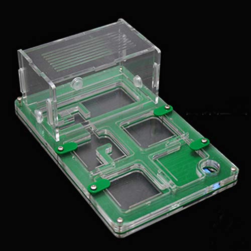 DIY Ant Farm Maze with Feeding System Live Ant Viewing Habitat Acrylic Transparent Villa House Formicarium Moisturizing Water Tower Lair for Ant (Color : C) von MERAXI