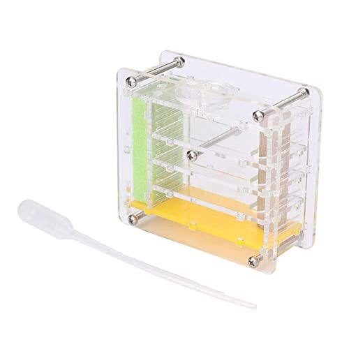 Educational Formicarium Ant Tower Ant Farm Box Toy for Kids Ant Home Study of Ant Behavior Nest Farm Villa Pet Ant Habitat Hexapod Easy to Install Ant Nest (Color : Clear) von MERAXI