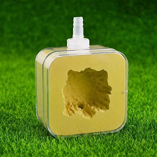 Small Ant Nest Acrylic Transparent Ant Workshop Farm Acryl Worm Villa Pet for House Ants Easy to Install Birthday Present Gift (Color : C) von MERAXI