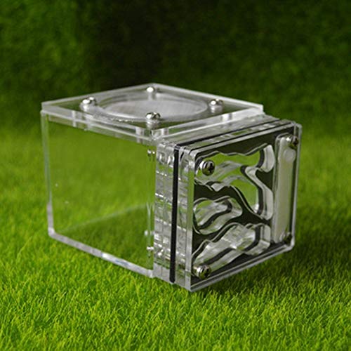 Small Ant Nest Transparent Ant Workshop for Kids Sientific Abservation House Worm Cages Anthill Pet Mania Farm Birthday Present (Color : D) von MERAXI