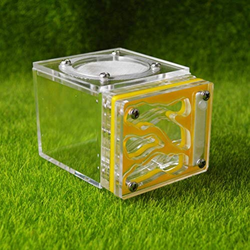 Small Ant Nest Transparent Ant Workshop for Kids Sientific Abservation House Worm Cages Anthill Pet Mania Farm Birthday Present (Color : E) von MERAXI