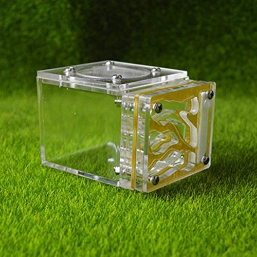 Small Ant Nest Transparent Ant Workshop for Kids Sientific Abservation House Worm Cages Anthill Pet Mania Farm Birthday Present (Color : G) von MERAXI